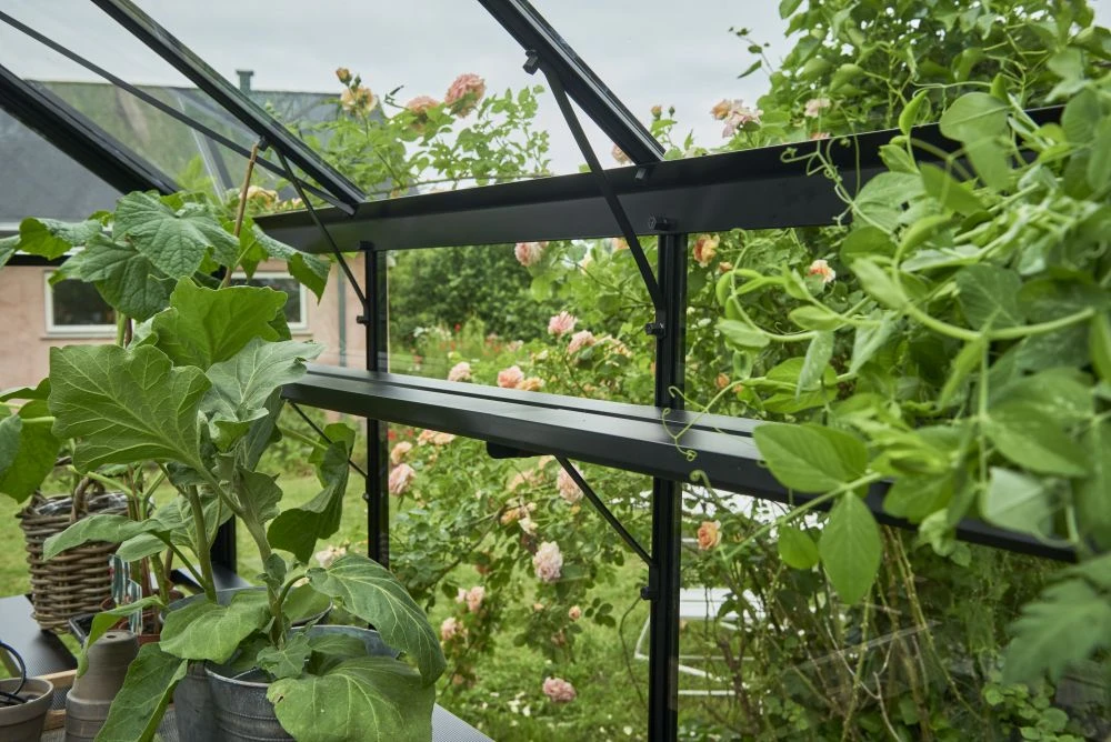 Royal Well Schap Gartner 16.2 Zwart Gecoat - Afbeelding 1